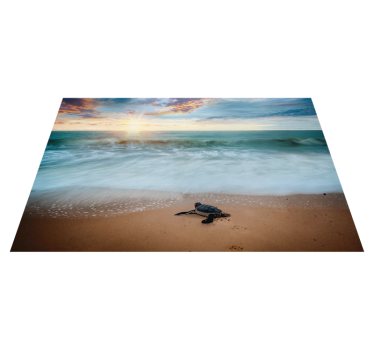 Schildpadden placemats Zonsondergang met schildpadden - TenStickers