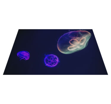Placemat met naam kleurrijk meduse thema - TenStickers