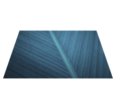 Moderne placemats Groot blauwgrijs blad - TenStickers