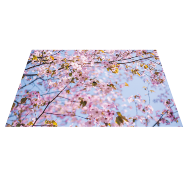 Placemat bloeiende kersenbloesem - TenStickers