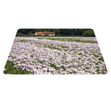 Originele placemat lavendel bloemenveld - TenStickers
