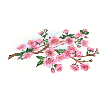 Originele placemat elegante bloemenkom - TenStickers