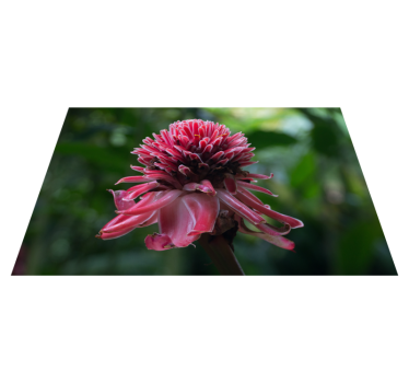 Originele placemat tropisch bloemarrangement - TenStickers