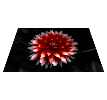 Originele placemat crispy zeewiergerecht - TenStickers