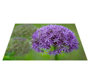 Placemat prachtige paarse bloemen - TenStickers