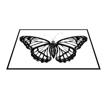 Originele placemat elegante vlinderillustratie - TenStickers