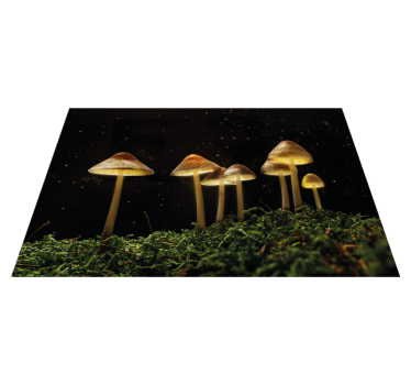 Originele placemat paddenstoelen in de nacht - TenStickers