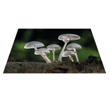 Originele placemat vintage houten bestek - TenStickers