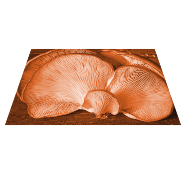 Placemat paddenstoelen keuken elementen - TenStickers