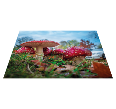 Moderne placemat paddenstoel culinaire scene - TenStickers