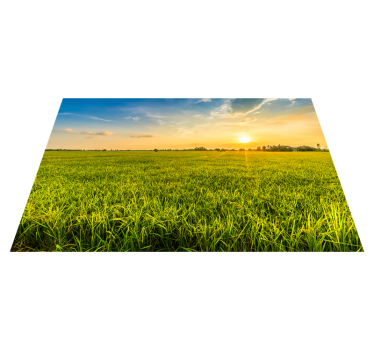 Placemat met naam zonsondergang rijstveld - TenStickers