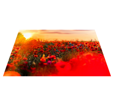 Placemat poppy field sereniteit - TenStickers