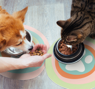 Hondenpootjes kom Originele placemats - TenStickers