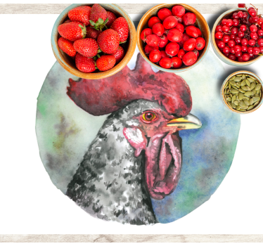 Originele placemat kleurrijk hanenportret - TenStickers