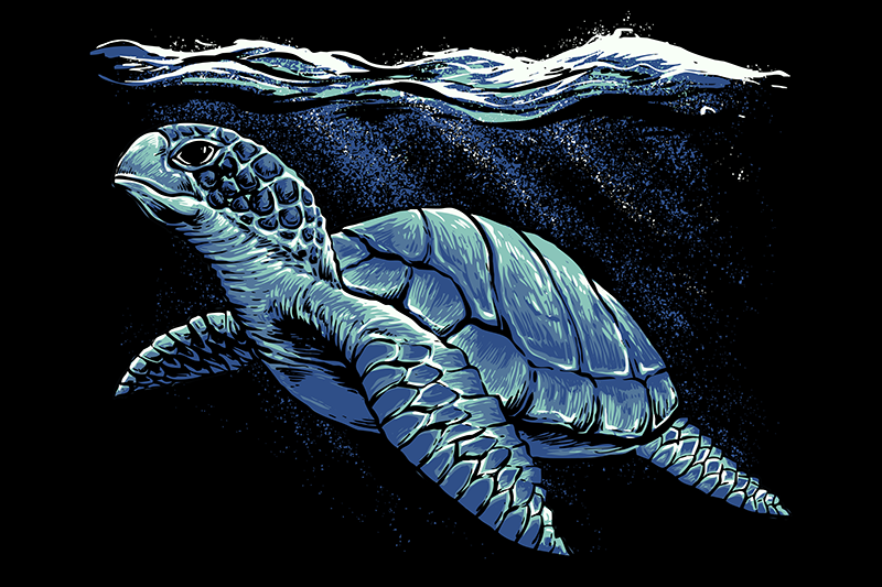 Schildpadden placemats Schildpad hand tekenen - TenStickers