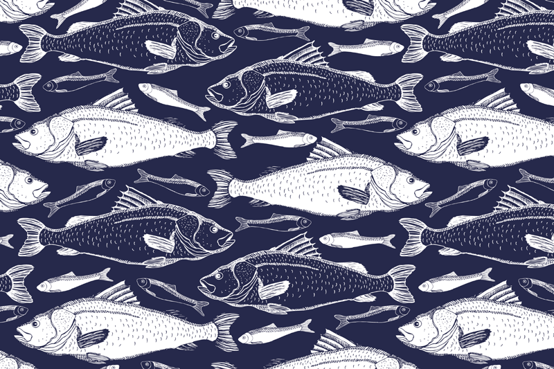 Vissen placemats Vissen onder de zee - TenStickers