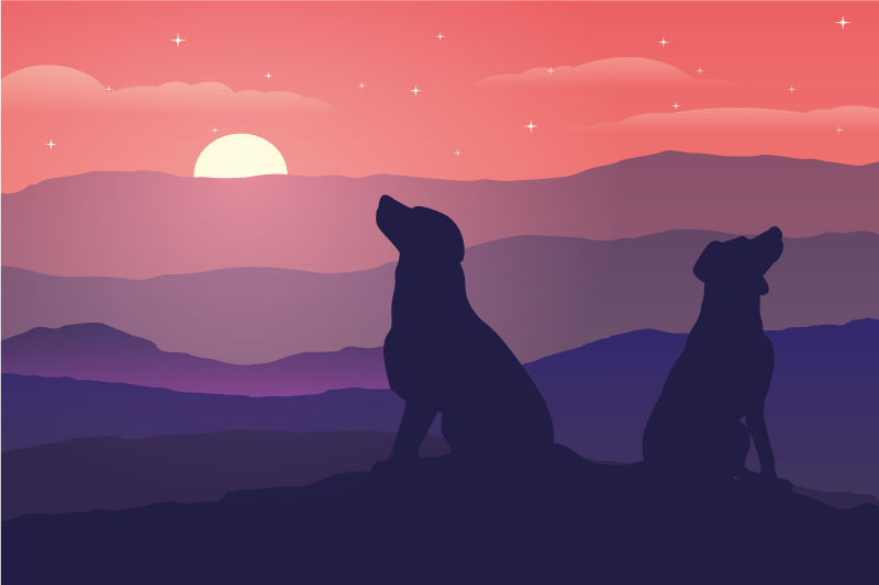 Originele placemat silhouet honden zonsondergang - TenStickers