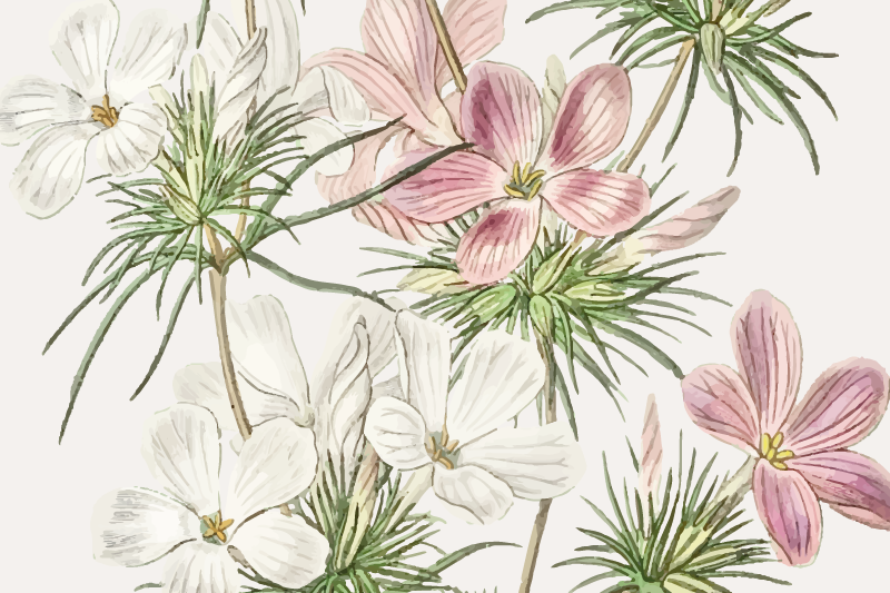 Originele placemat bloemig botanisch arrangement - TenStickers