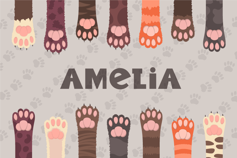 Placemat met naam Pluizige veelkleurige kattenpoten - TenStickers