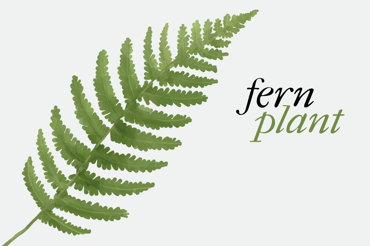 Originele placemat voor varenplantdisplay - TenStickers