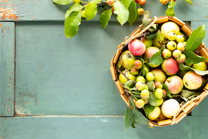 Placemat voor huis fruitmand arrangement - TenStickers