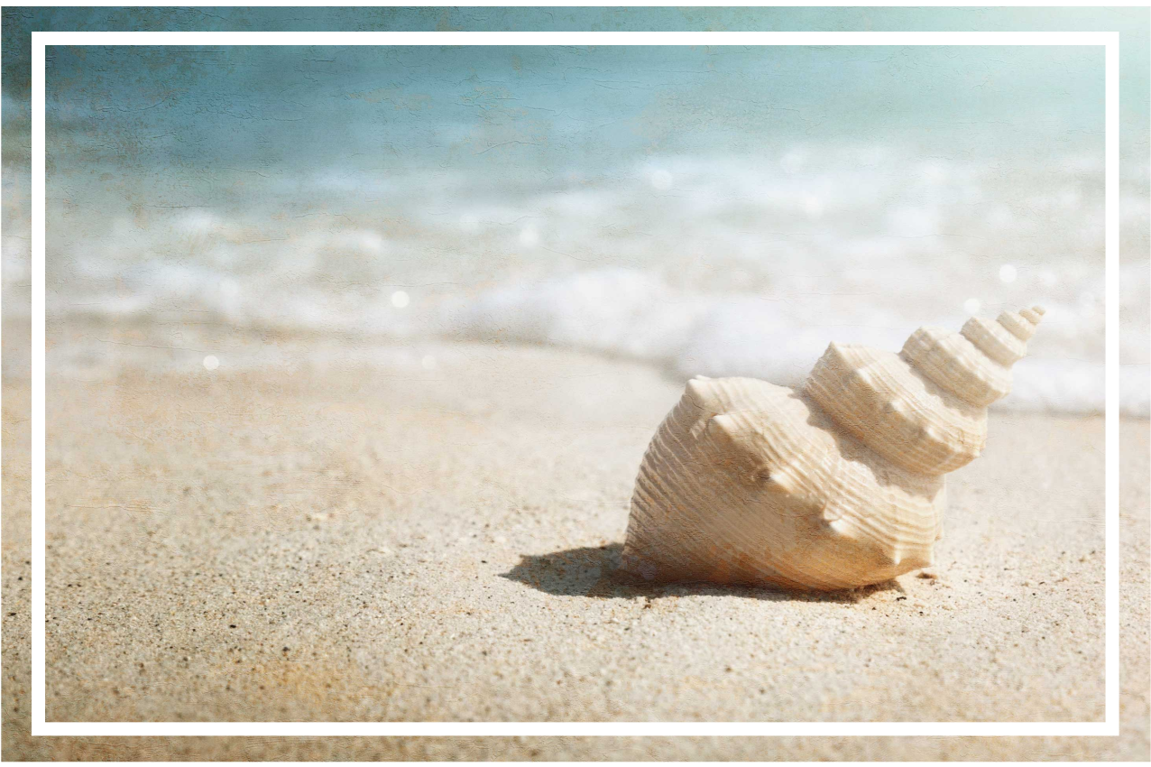 Elegante schelpenvertoning originele placemat - TenStickers