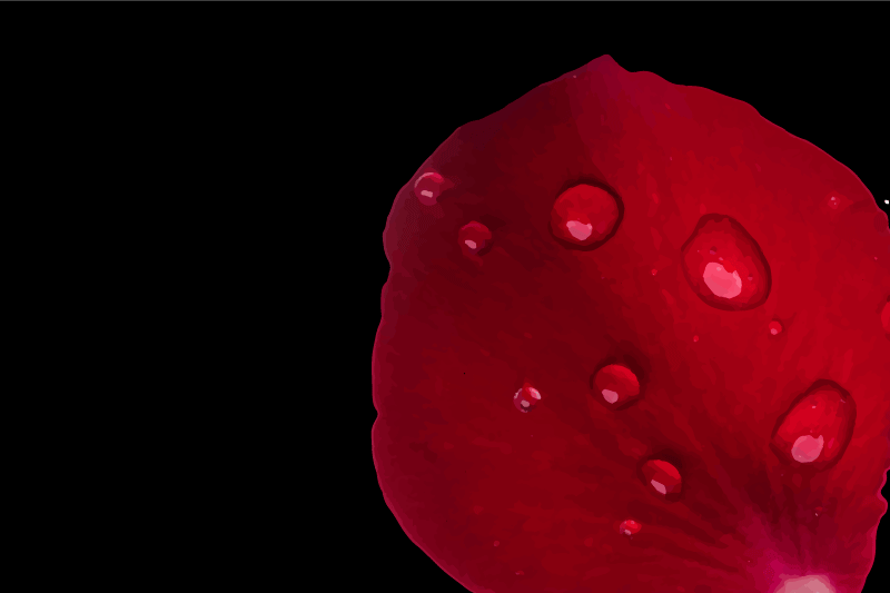 Placemat rode bloemblaadjes oppervlak - TenStickers