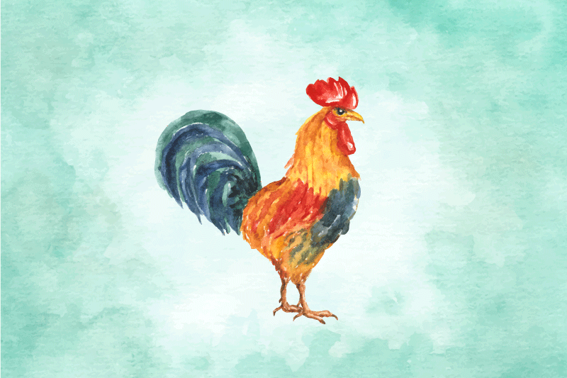 Originele placemat kleurrijke kip illustratie - TenStickers