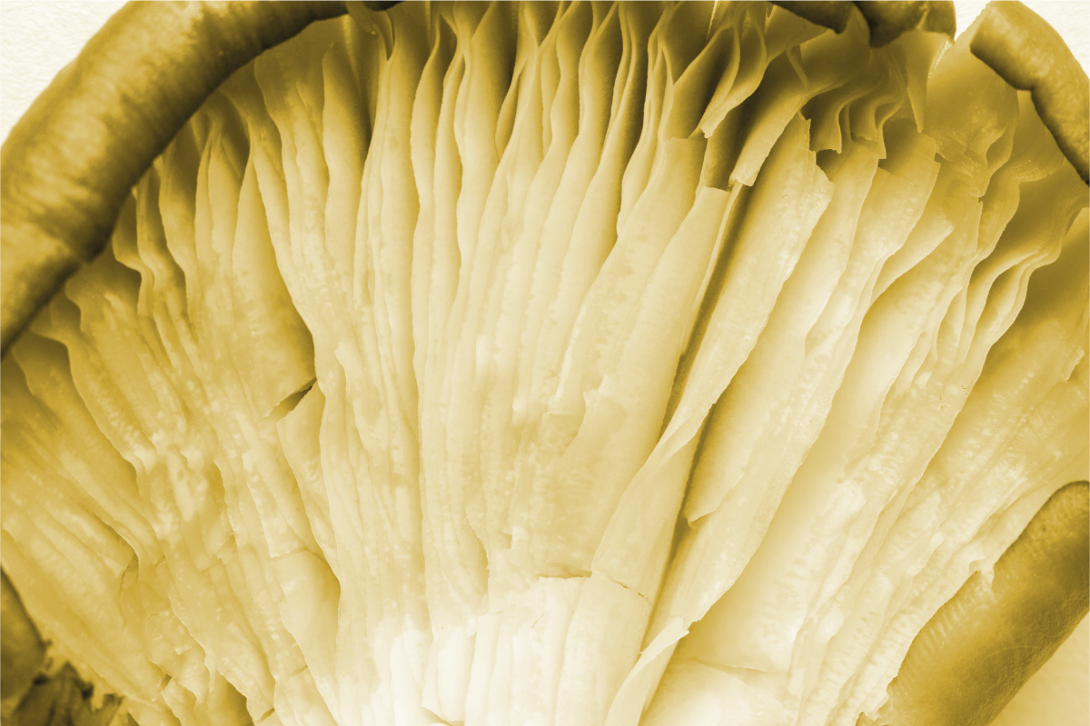 Placemat gebogen bladlagen - TenStickers