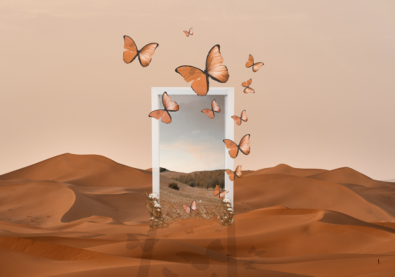 Originele placemat vlinders die tevoorschijn komen - TenStickers