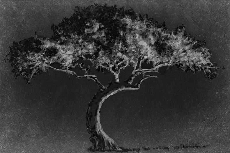 Placemat artistieke boom silhouet - TenStickers