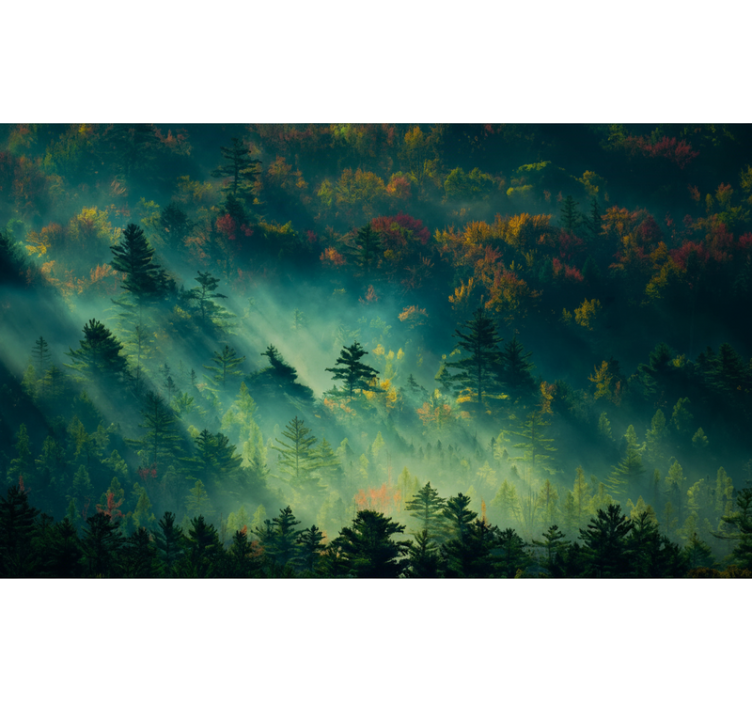 Behang bos the moody forest - TenStickers