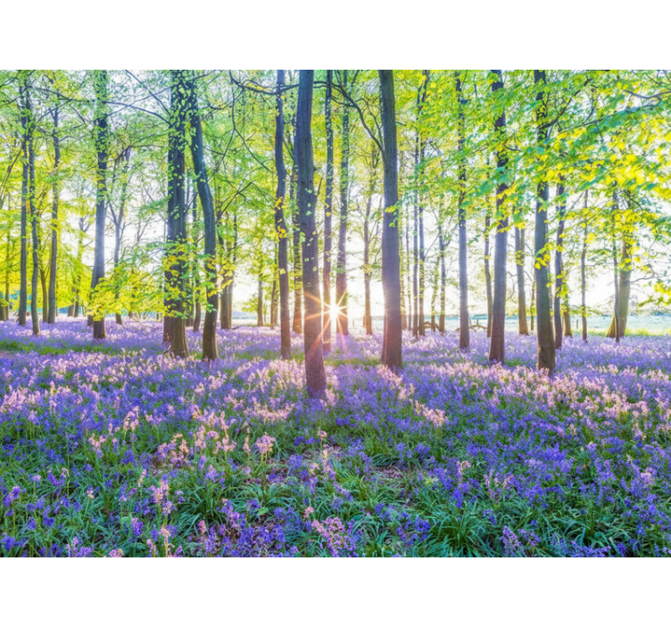 Behang bos natuur geïnspireerd modernisme - TenStickers