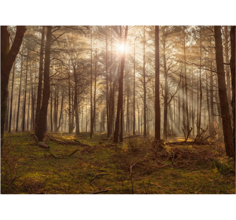 Behang bos gouden wilde dieren lounge - TenStickers