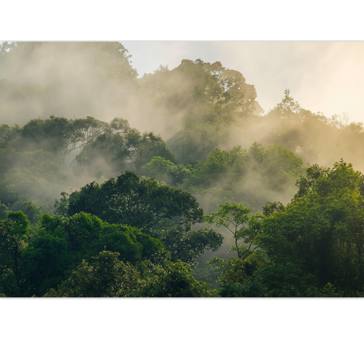 Behang bos weelderige junglebladeren - TenStickers