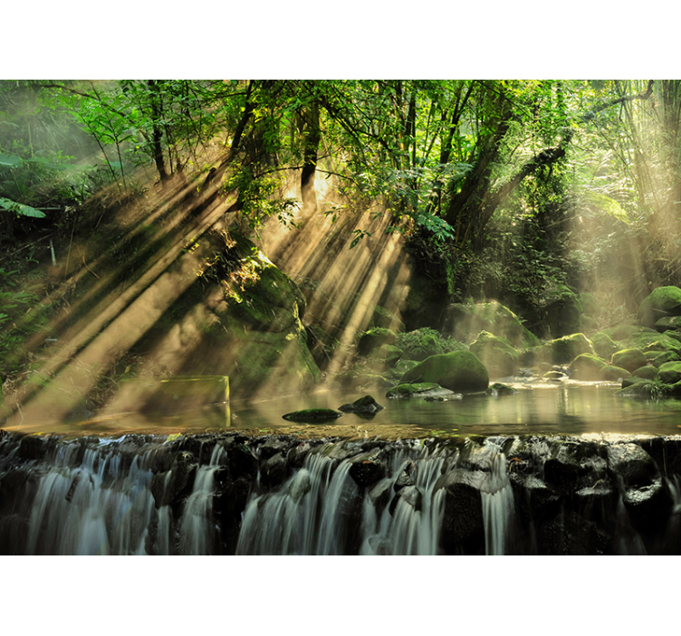 Natuur fotobehang met zonnestralen - TenStickers