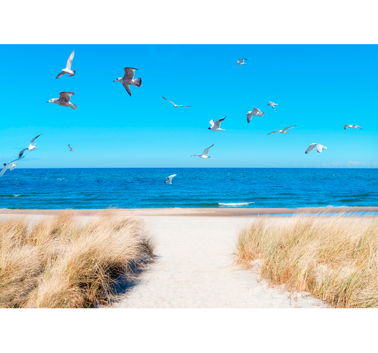 Strand fotobehang met vogels en de zee - TenStickers