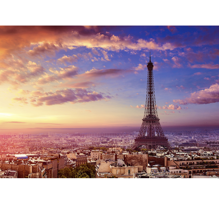 Paris view by air fotobehang - TenStickers