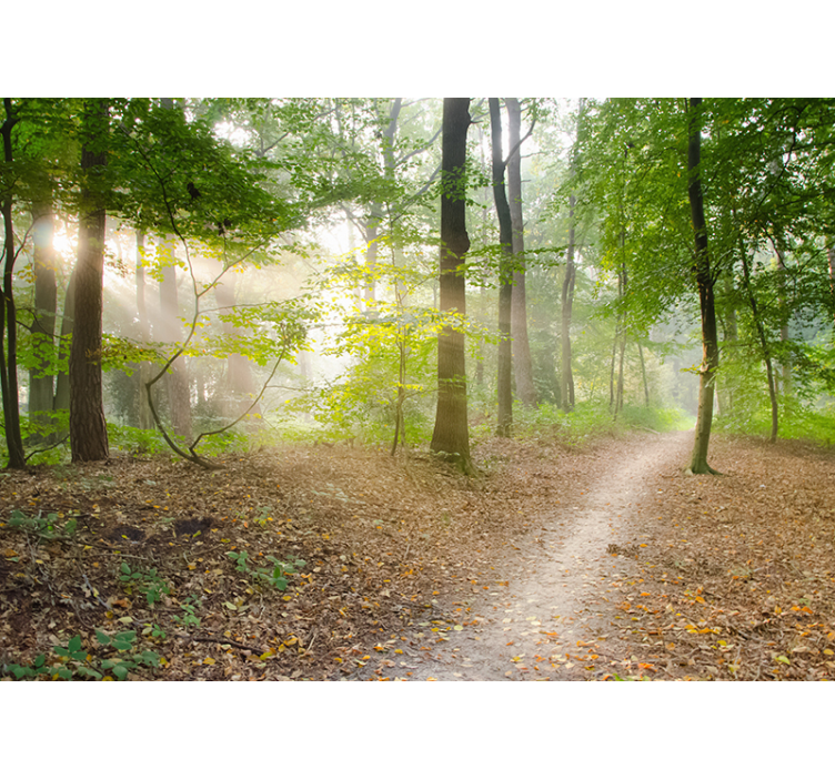 Natuur fotobehang met  bruine grond - TenStickers