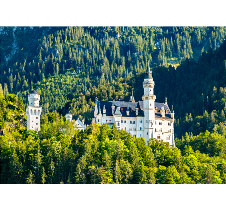 Fotobehang stad neuschwanstein kasteel uitzicht - TenStickers