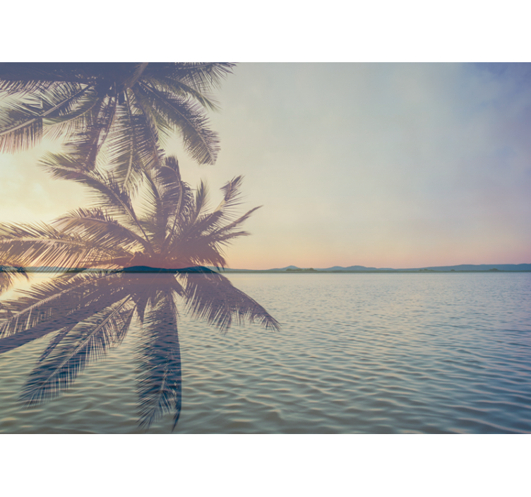 Fotobehang natuur serene palm silhouet - TenStickers