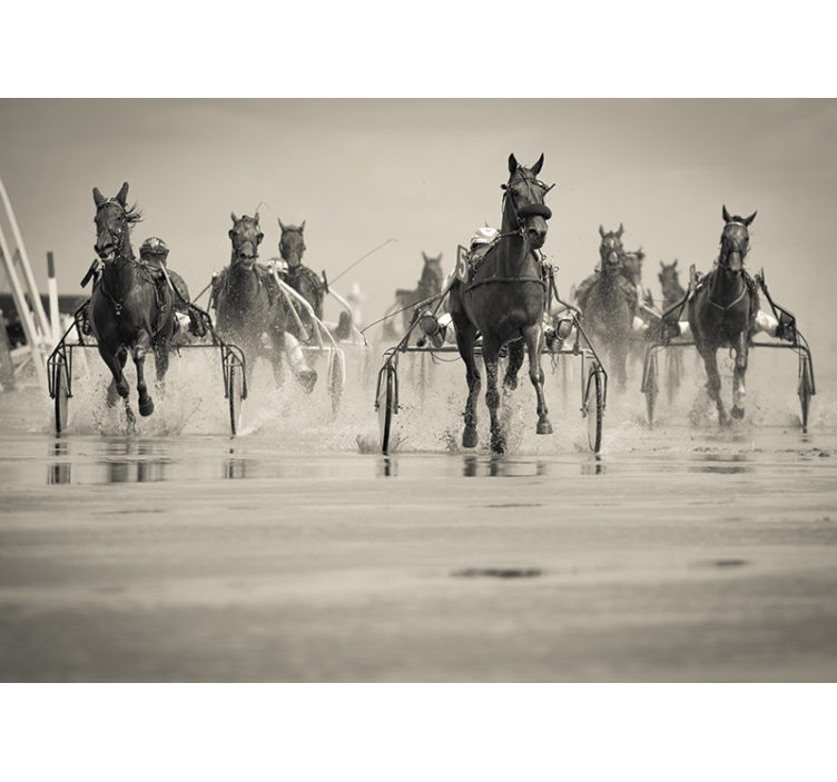 Paarden die samen racen foto behang dieren - TenStickers