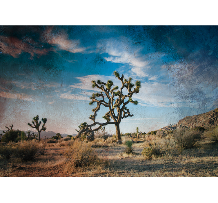 Joshua tree landschap fotobehang natuur - TenStickers