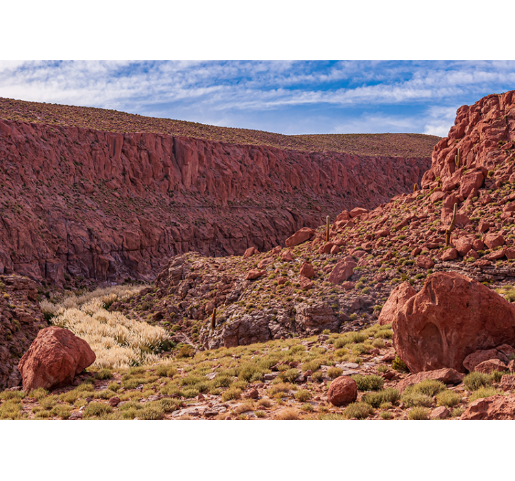 Rood woestijnlandschap fotobehang bergen - TenStickers