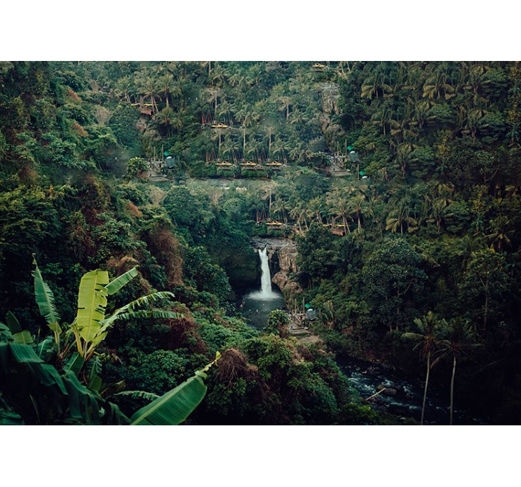 Fotobehang natuur waterval in weelderige jungle - TenStickers