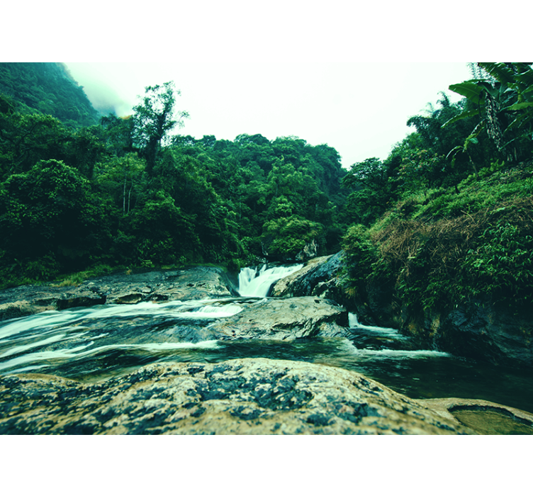 Serene groene scène foto behang waterval - TenStickers