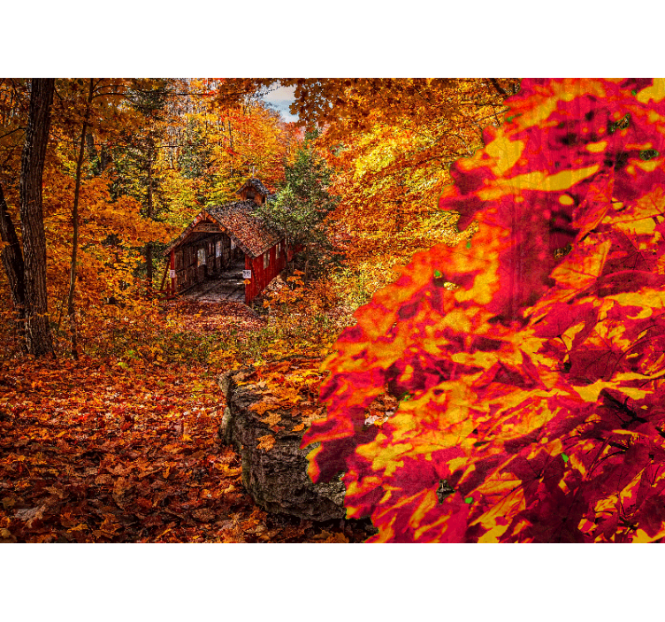 Fototapet landschap herfst cottage landschap - TenStickers