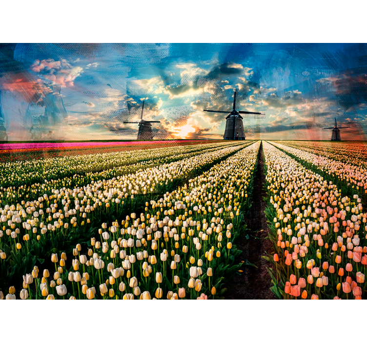 Tulpenveld zonsopgang bloemen foto behang - TenStickers