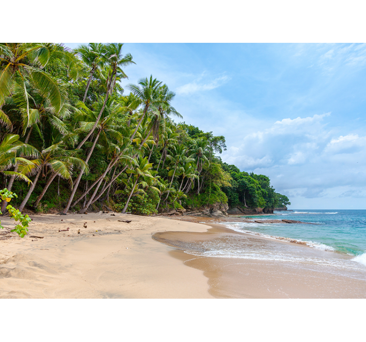 Fotobehang natuur tropisch kust oase - TenStickers