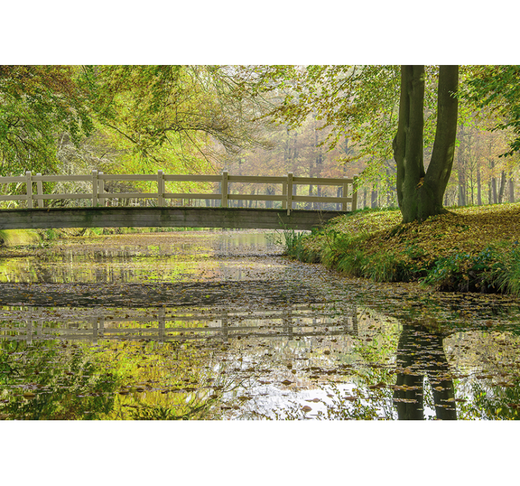 Serene rivierbrug fotobehang natuur - TenStickers